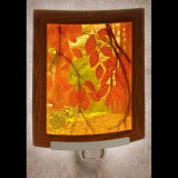 The Porcelain Garden Secret Path Colored Curved Night Light