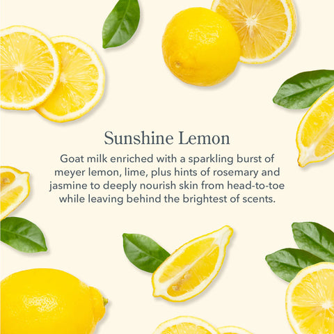 Beekman 1802 Sunshine Lemon Goat Milk Lotion 12.5 fl oz