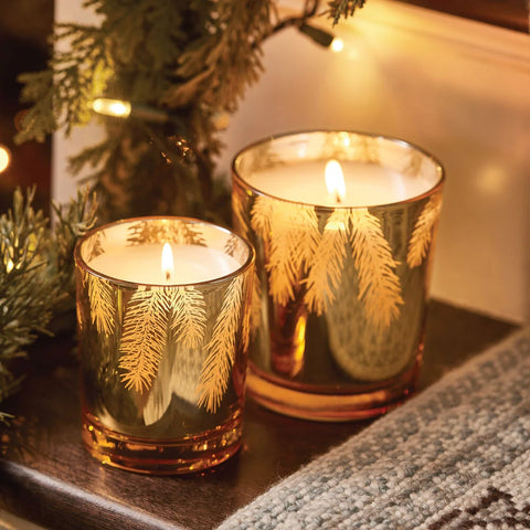 Thymes Frasier Fir Gilded 13 oz Poured Candle